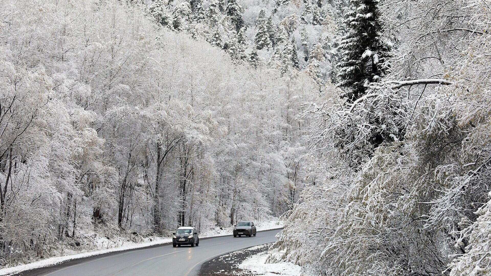 Спасатели ищут туриста, пропавшего в нацпарке "Красноярские Столбы"