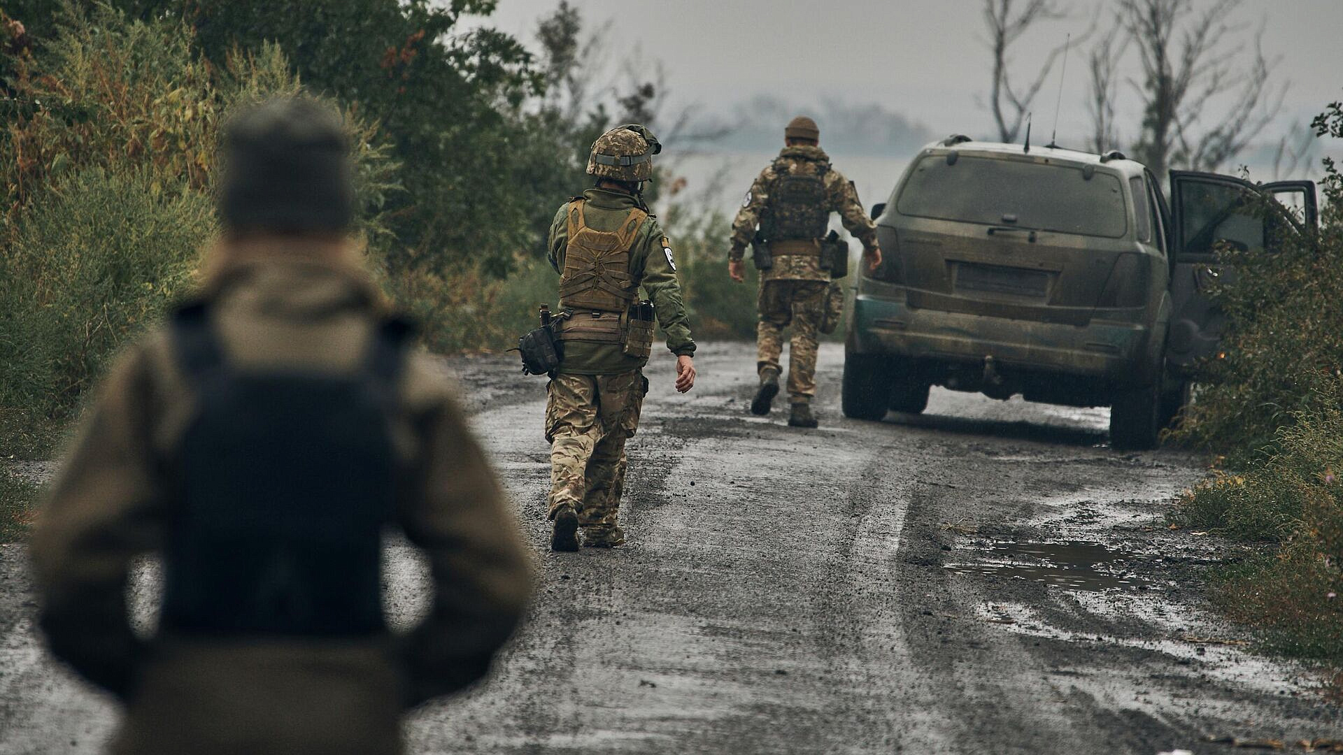 Минобороны рассказало о потерях ВСУ в зоне действия "Юга"