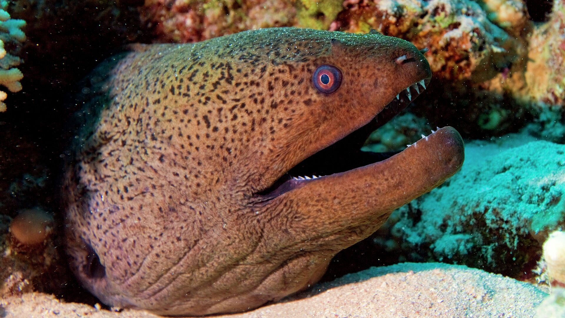 �������� ������ ������ �� ���������� � ������, �� � ��������