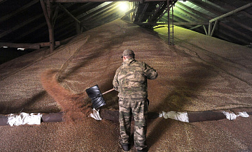 В РЗС призвали нарастить экспорт зерна до 70 миллионов тонн