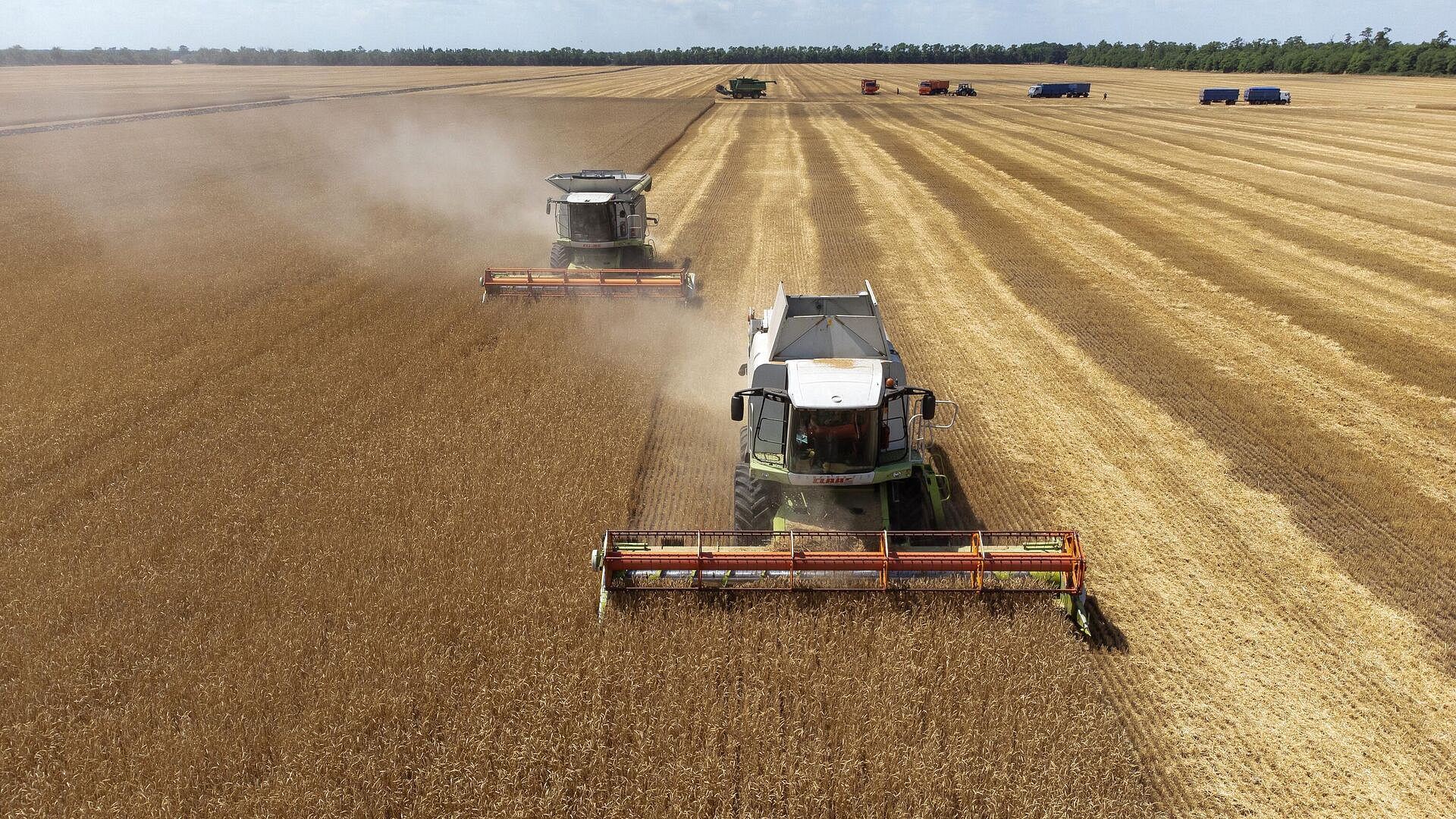 Россия обошла Францию по поставкам зерновых в Марокко