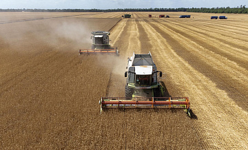Россия обошла Францию по поставкам зерновых в Марокко