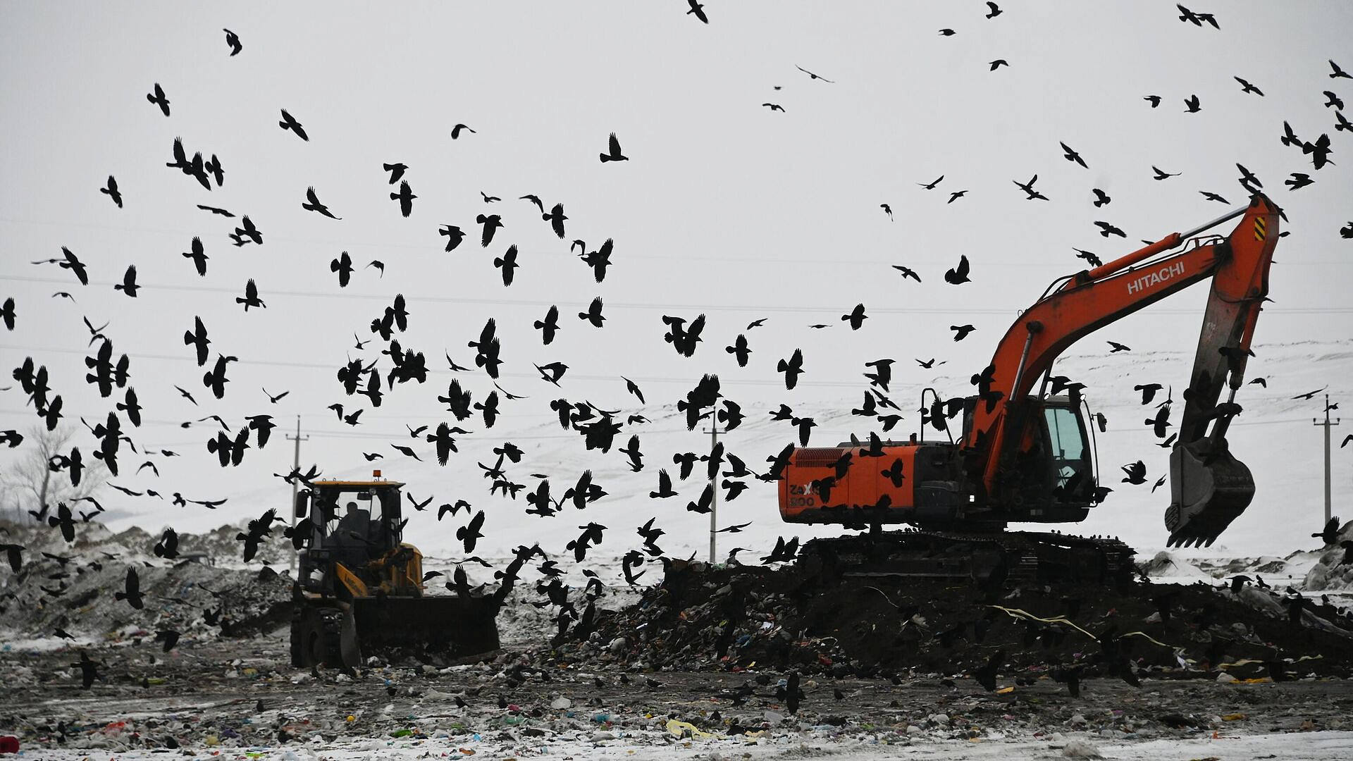 Путин поручил обеспечить полную сортировку мусора