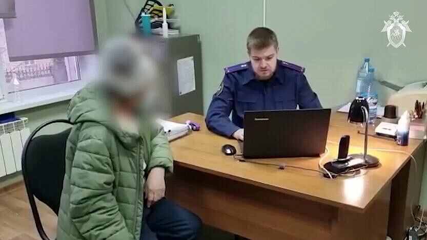 Жительницу Красноярска осудили за попытку заказать убийство детей