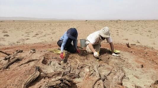 ������ �������� ���������� ���������� ����� � ��������