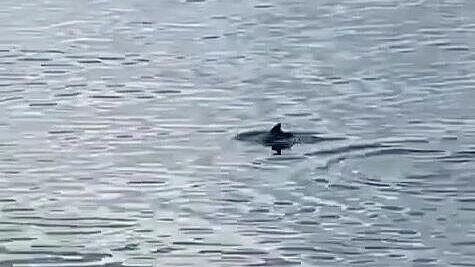 ��������� �������� � ������� ������ �������� �� ����������