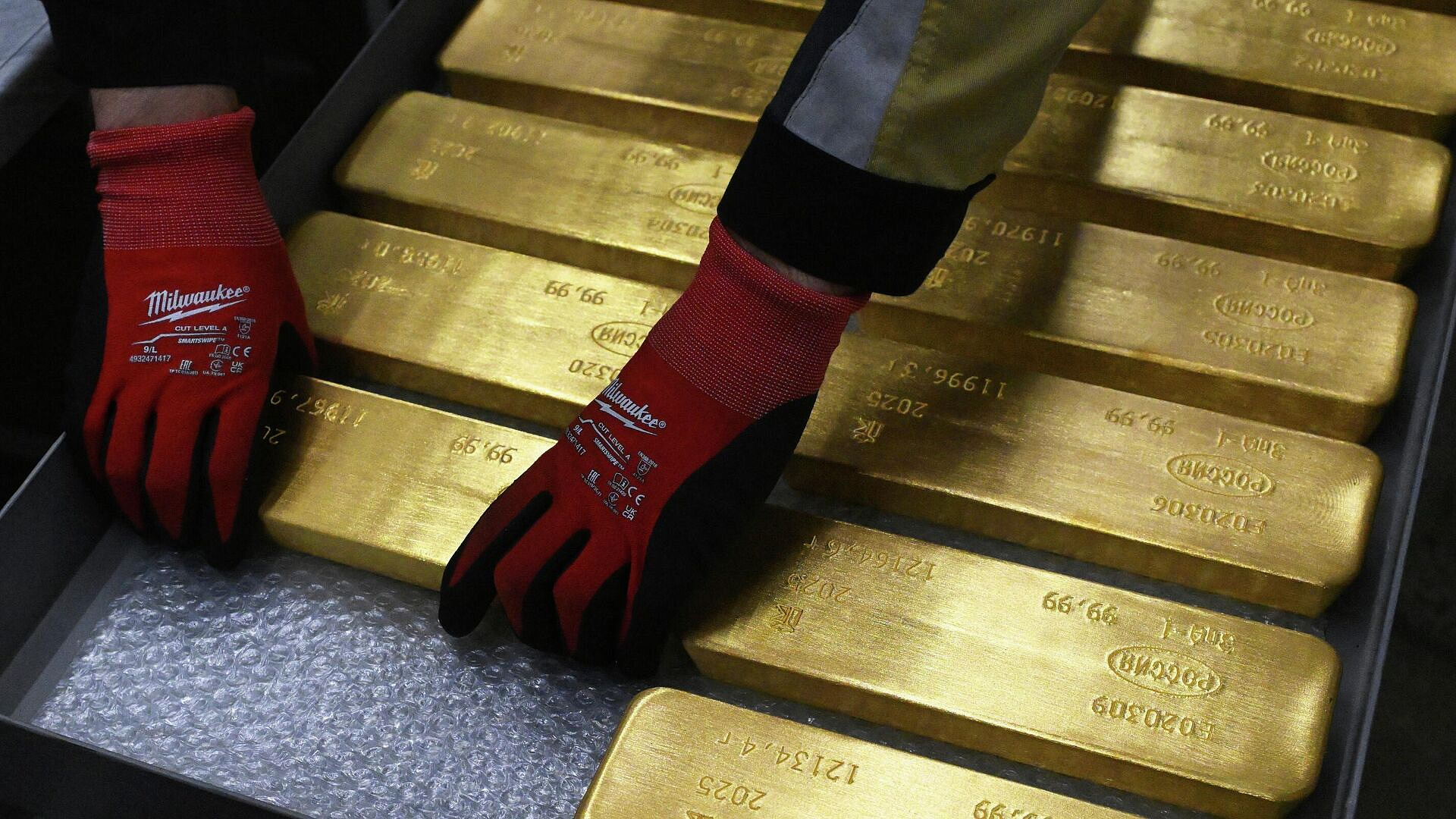 ������ ��������� ��������� ����� ������ �����