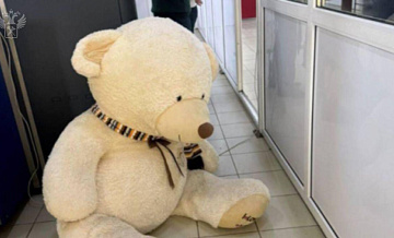 В Сочи таможенники обнаружили контрабанду сигарет в плюшевом медведе