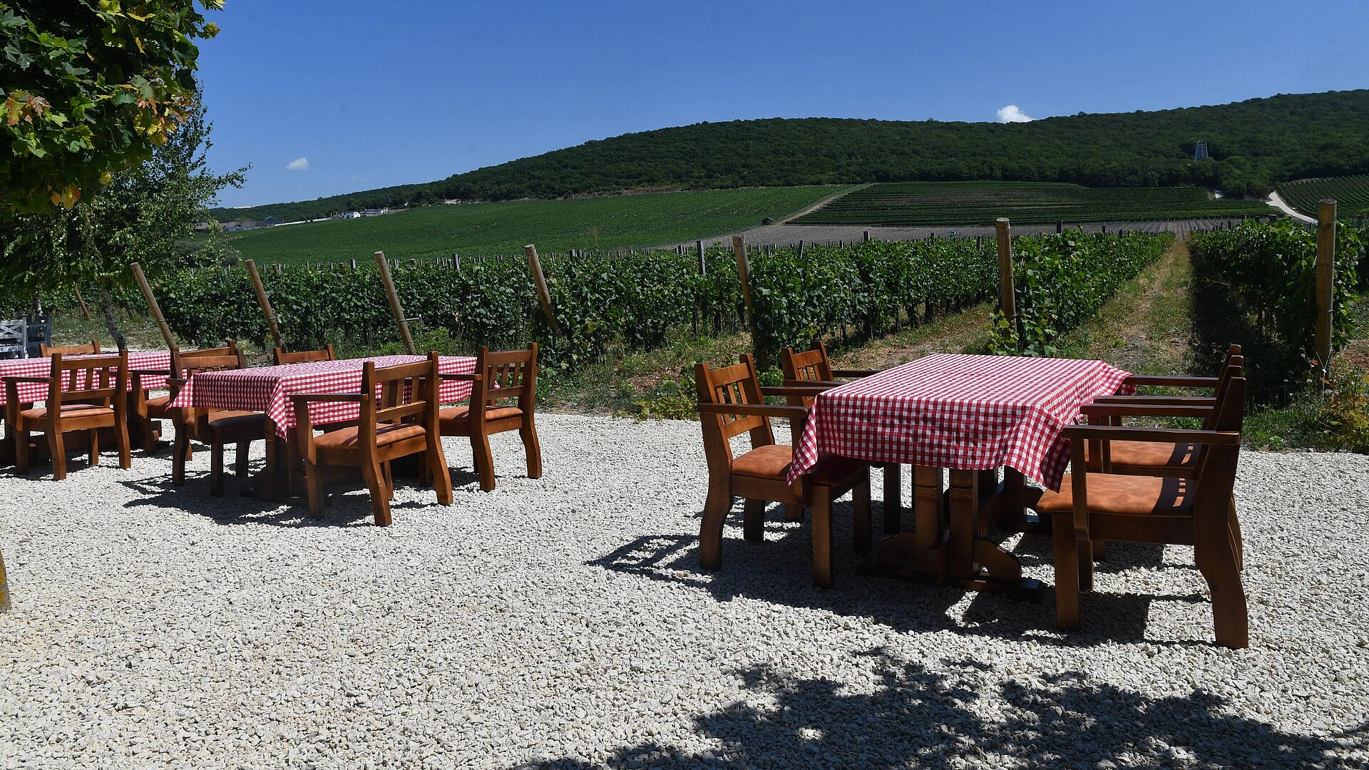 ����� ������ ��������� �������������� �������� ������ � �����