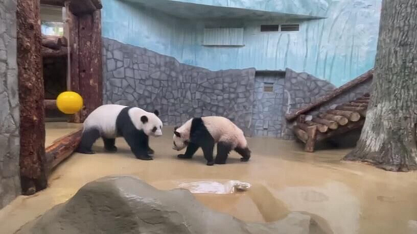 ���������� ������� �������, ��� ����� ���-��� � ������ �������� ����