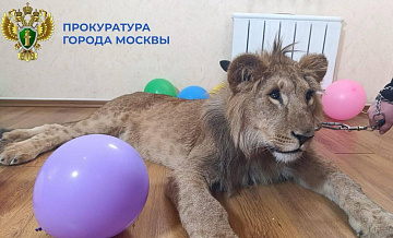 � ������ �������� � ������� ���� � �������, ������������ ��� ����������