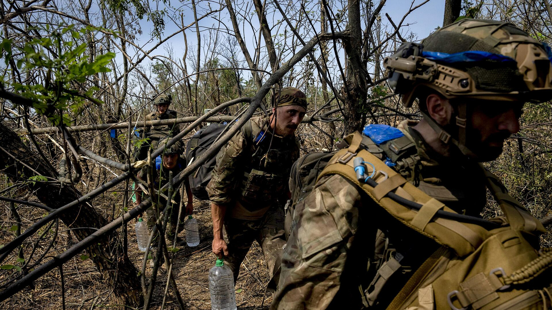 "�����"* ��������� �������� � Ҹ����� ���������� ��� �����, ������� ������