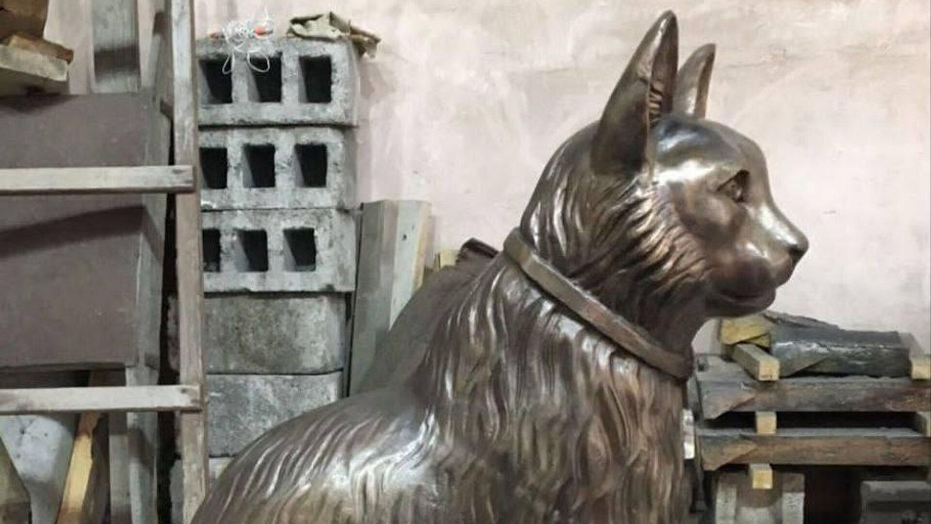 ��� ����� ������ � ����� ������� ��������� ������ ��������� ��������