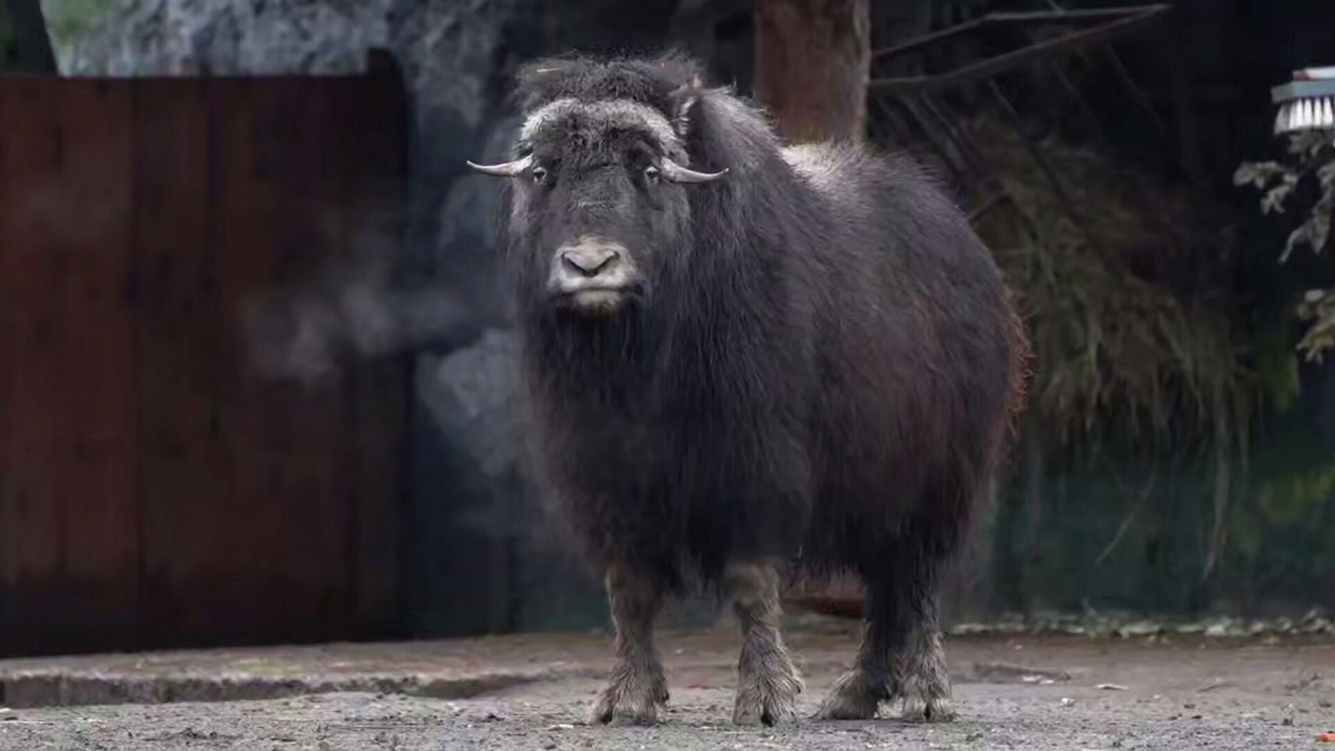 ��������� �������� ��������� � �������������� ������� ����������� ��������