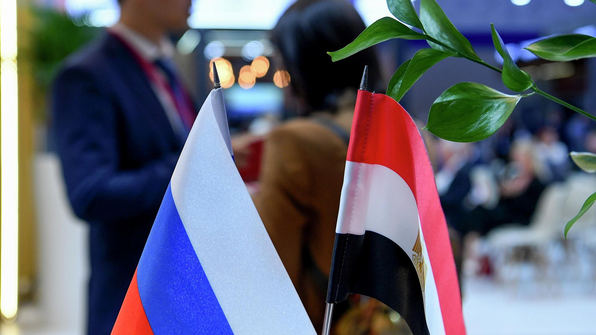 Россия и Египет обсудили напряженность на Ближнем Востоке