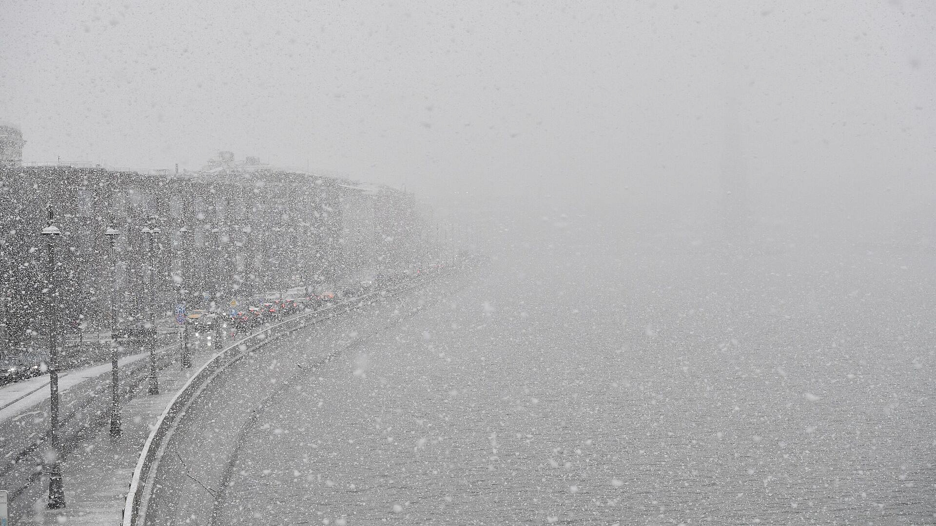 Ученый рассказал, какие животные страдают из-за снегопадов