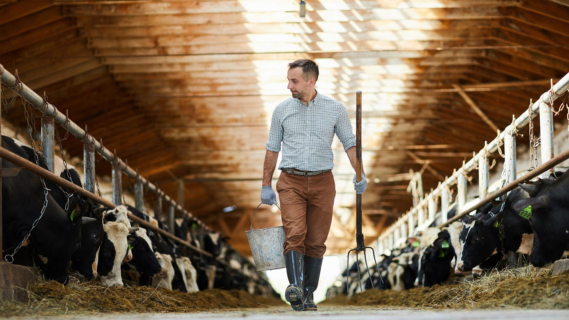 ����� 42 ��� ������ ��������� �� �������� ���������� �������� � ����������