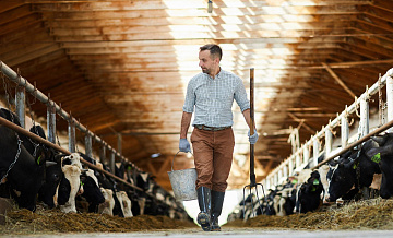 Свыше 42 млн рублей направили на развитие фермерских хозяйств в Забайкалье