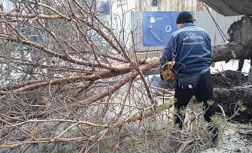 Число пострадавших из-за непогоды в Москве достигло 17 человек