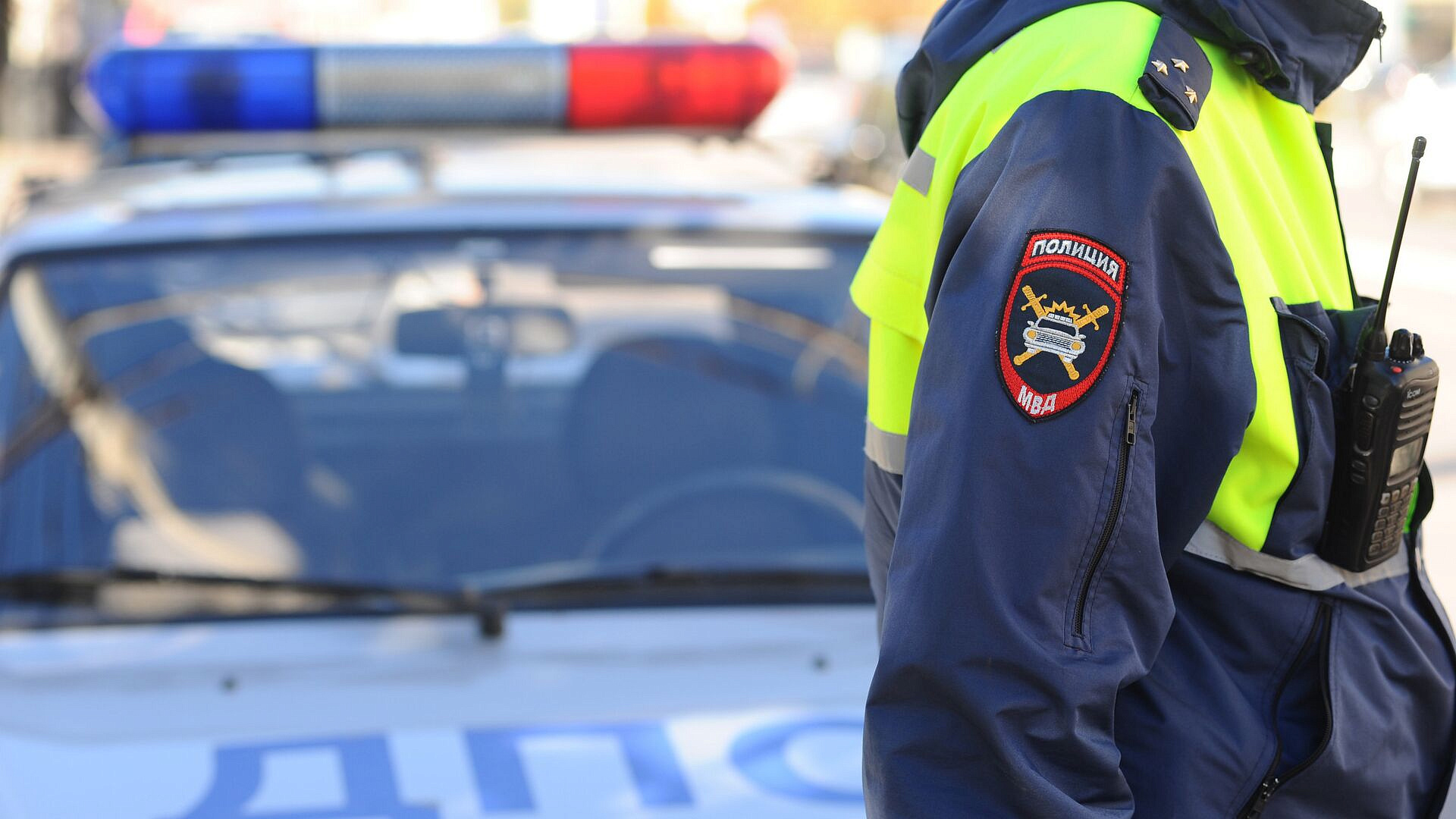 � ������������ ������������ ������� �������� ���������