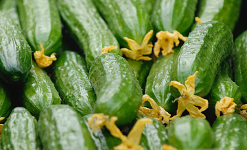 В Минсельхозе объяснили ситуацию с ценами на огурцы