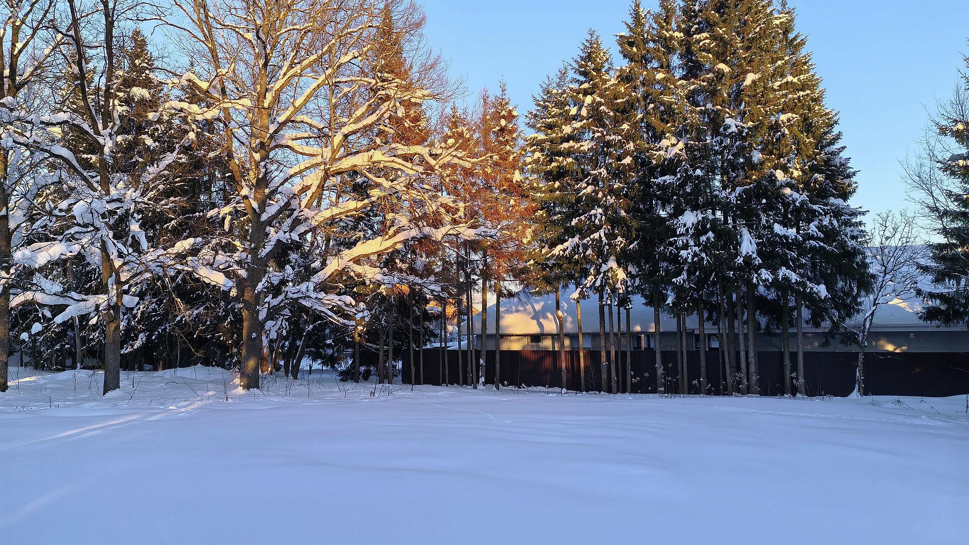 Москва выставила на торги 27 участков для ИЖС