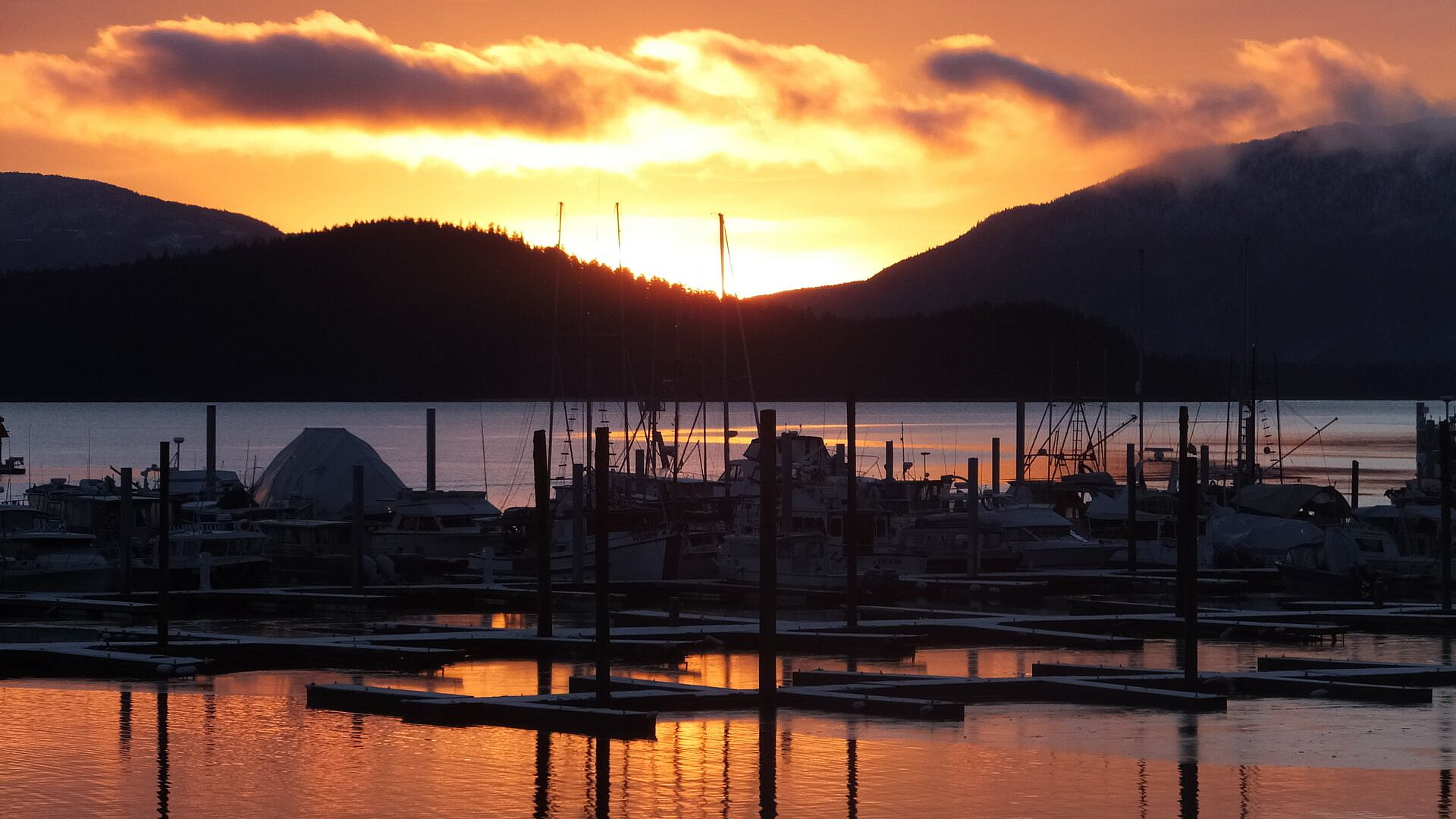 ���: ������ ������ ��������� ����� ��-�� �������