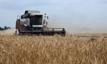Россия в этом сезоне станет первой в мире страной по экспорту ячменя