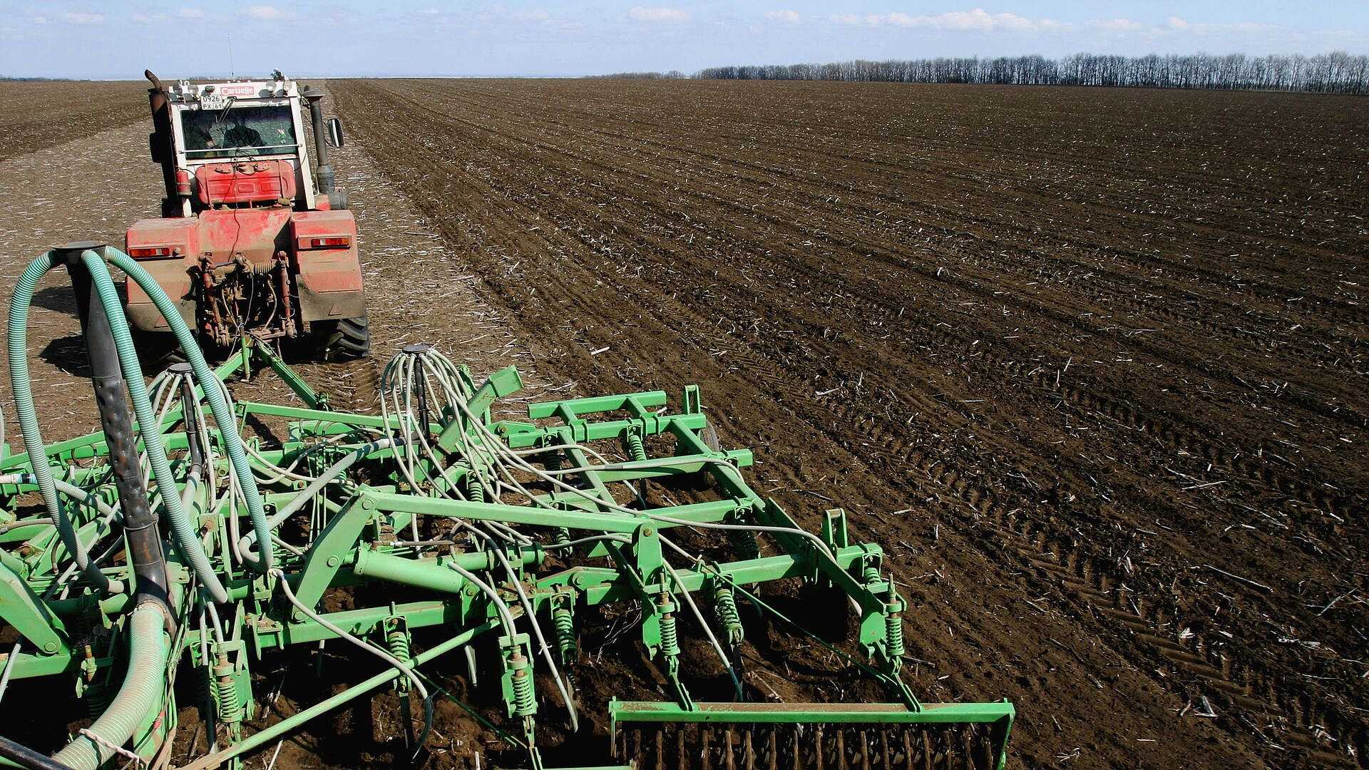 Кубань выделит свыше 80 млн рублей на создание гибридов яровых культур