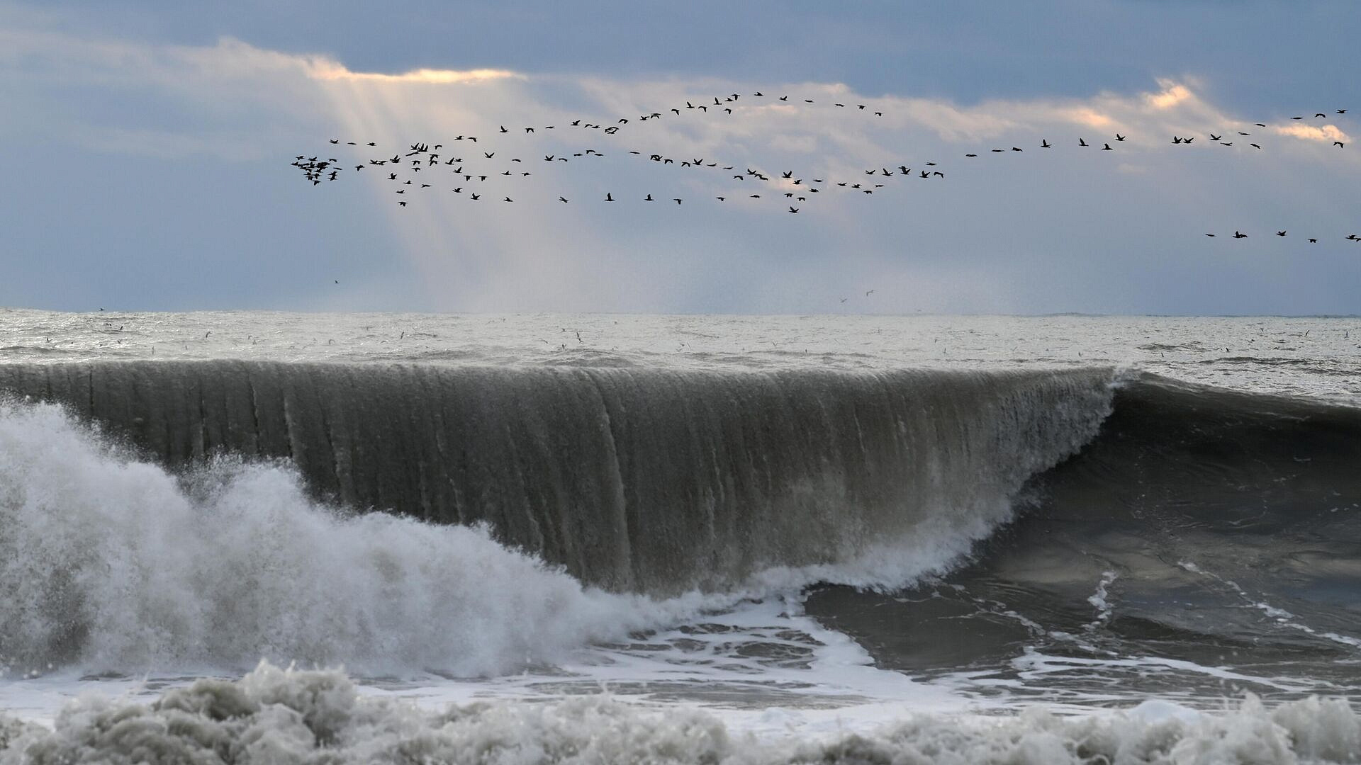 ��� ������� ����� �� ������ ����� � ������ ����