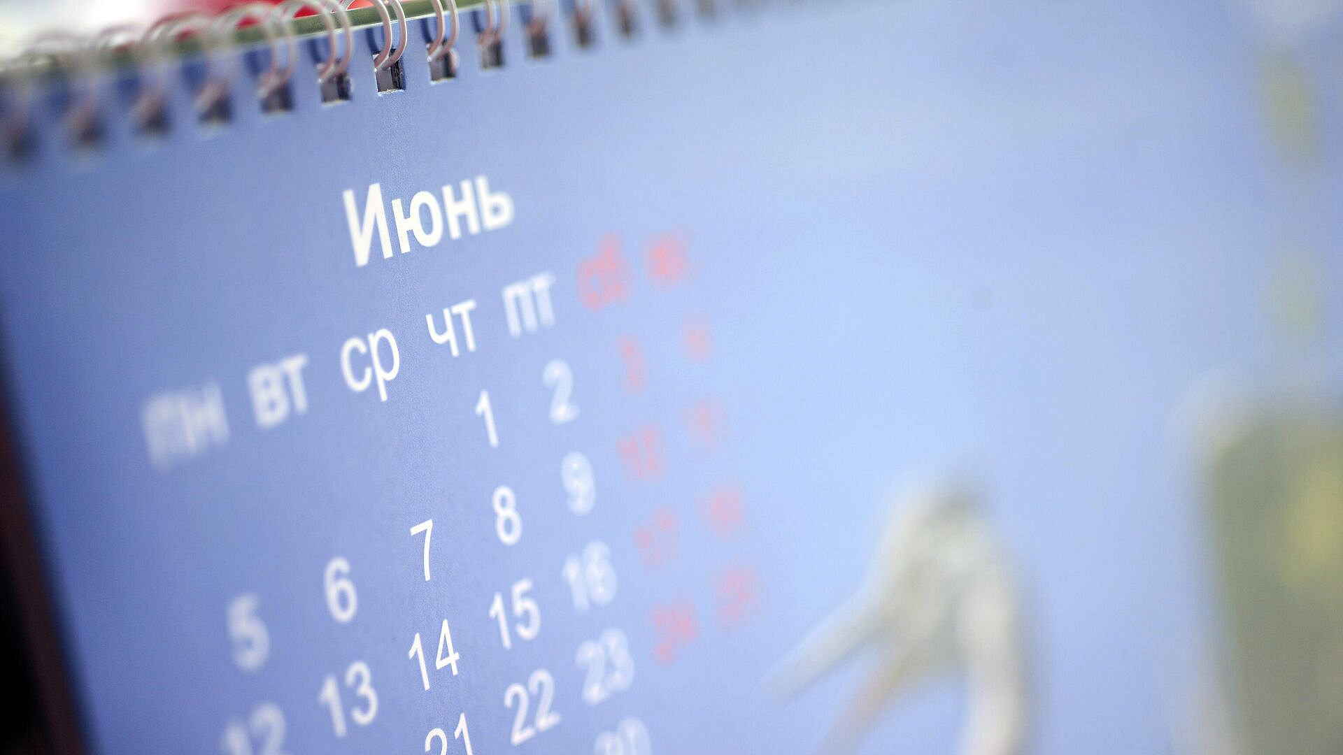 Россияне этим летом будут работать 65 дней