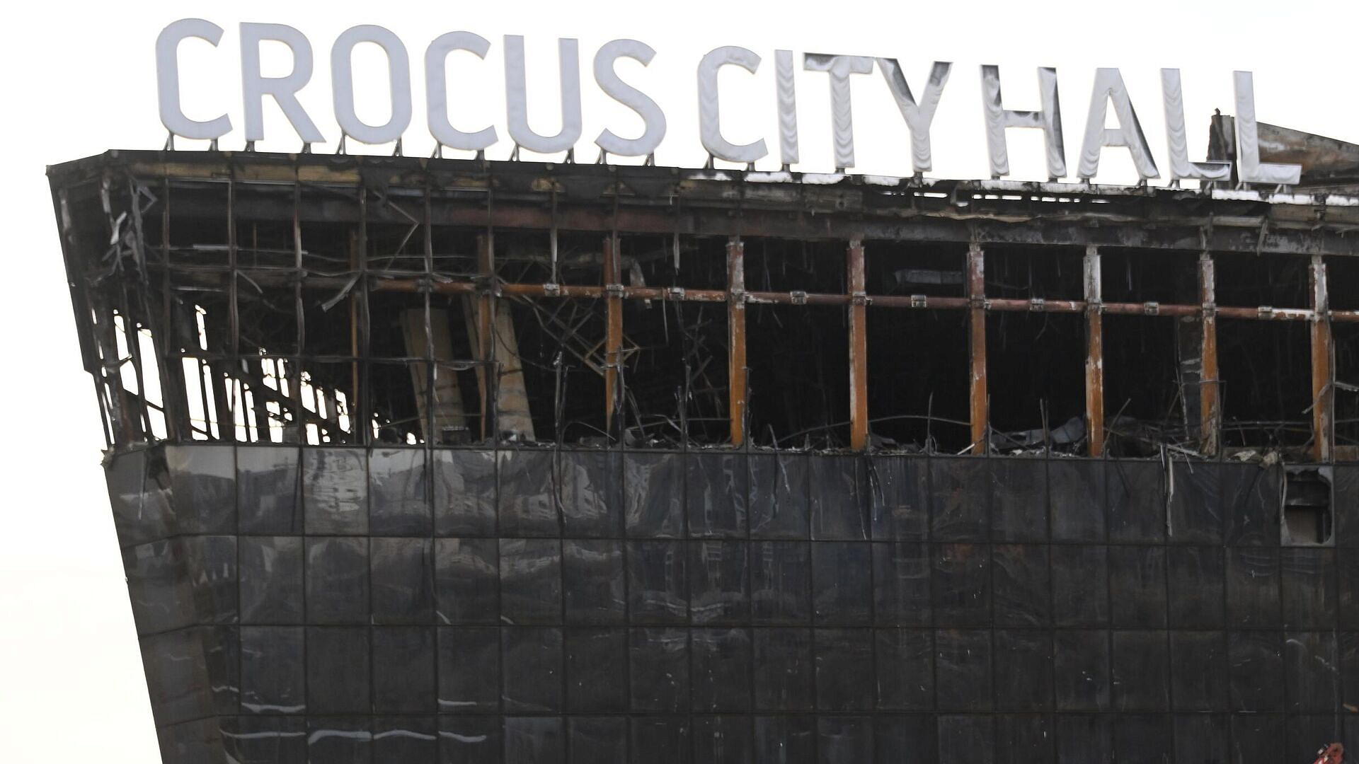 ������ � "�������" ������������ ���������� ���������������� �����������