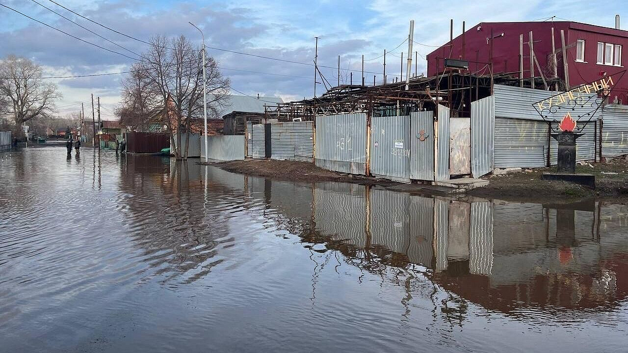 ������� ��������� ����� 1,5 ������ ���������� ������� � ������ � 2024 ����