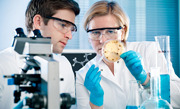 Сибирские ученые нашли центры управления терморегуляцией человека