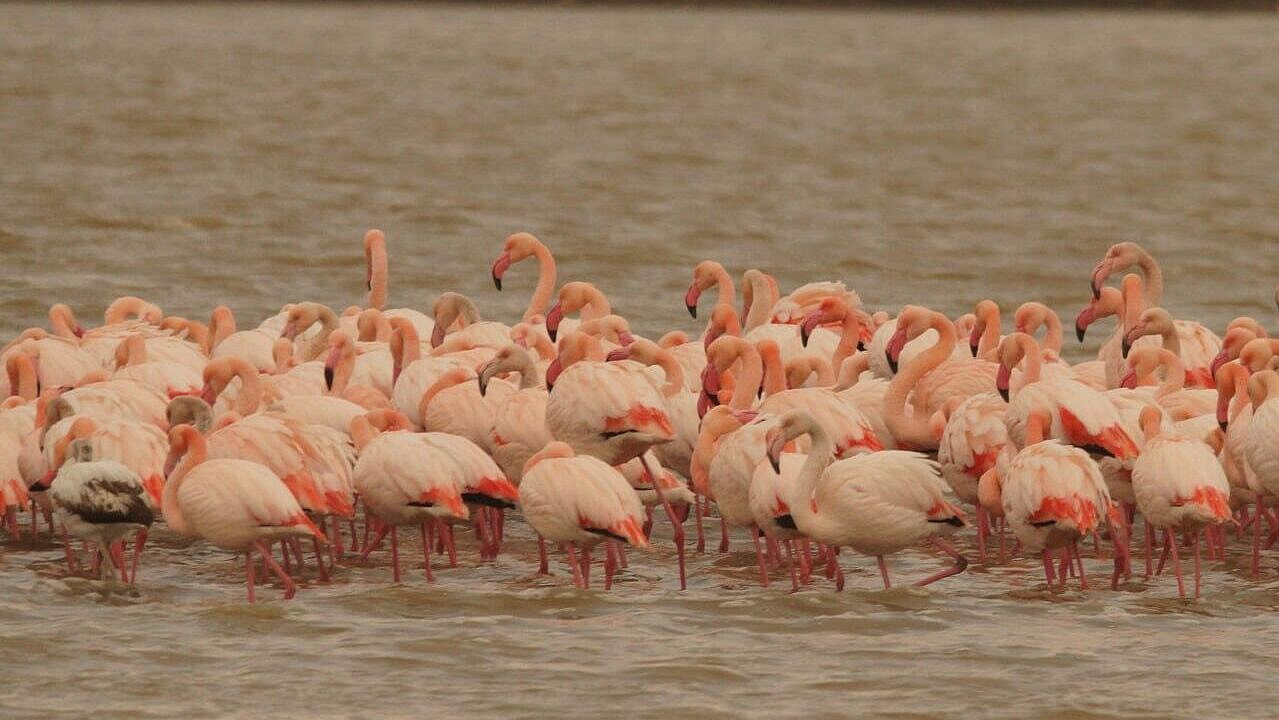 � ����� � �������� ��������� ��������