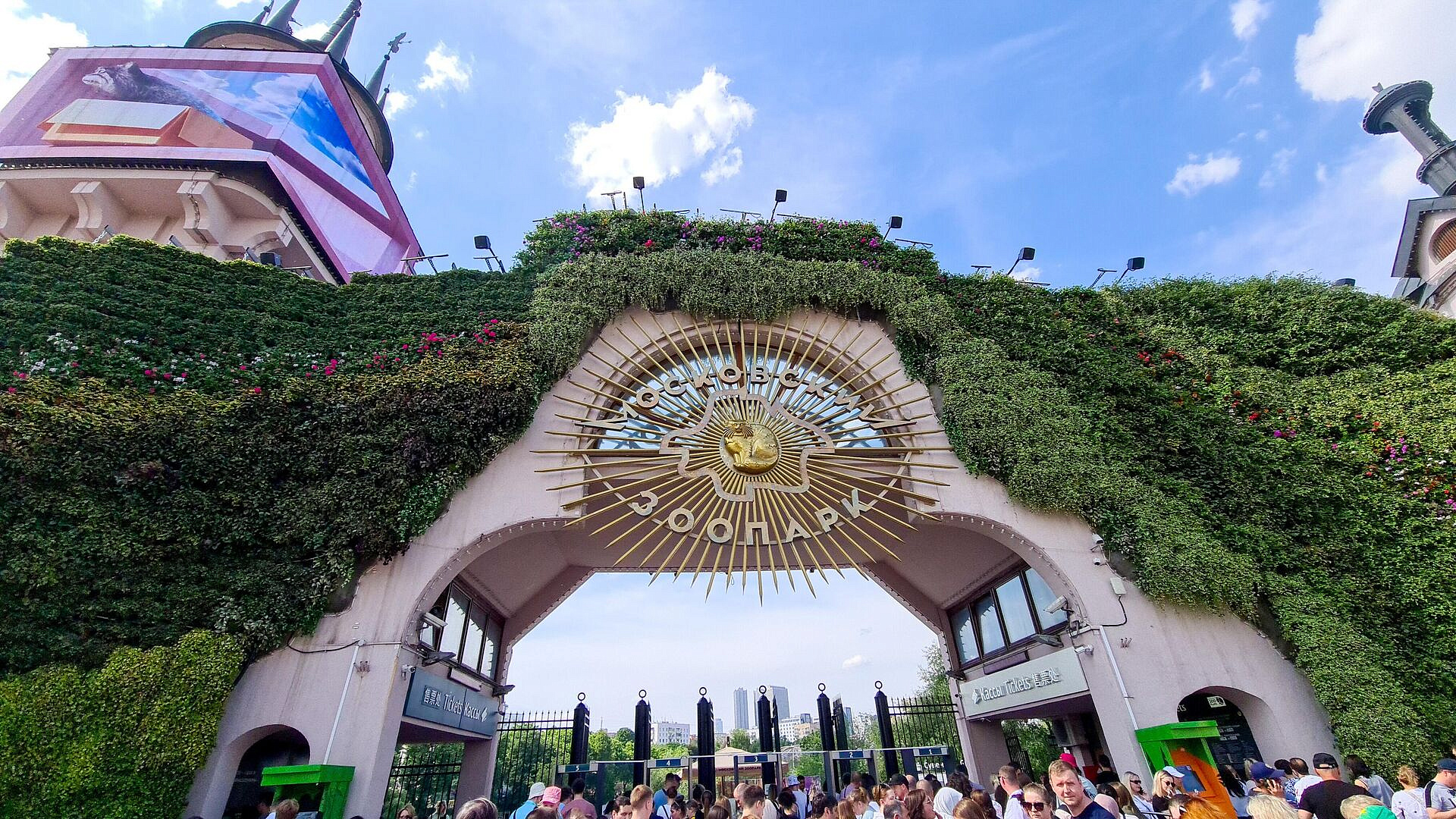 Директор Московского зоопарка рассказала о депрессии у барашка