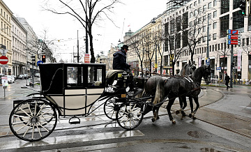 Продавцы рассказали о популярности "русских" магазинов в Вене