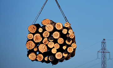 Алиханов рассказал о мерах поддержки лесопромышленного комплекса