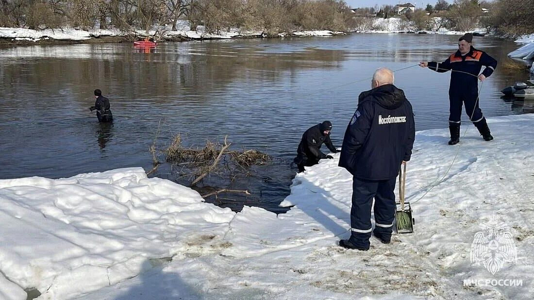 СК рассказал, где нашли тело второго мальчика, пропавшего в Звенигороде
