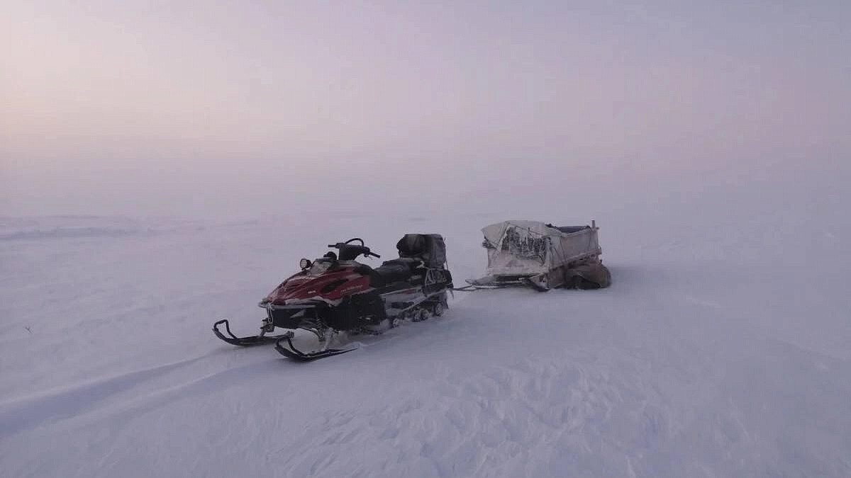 Появились подробности гибели детей в тундре на Ямале