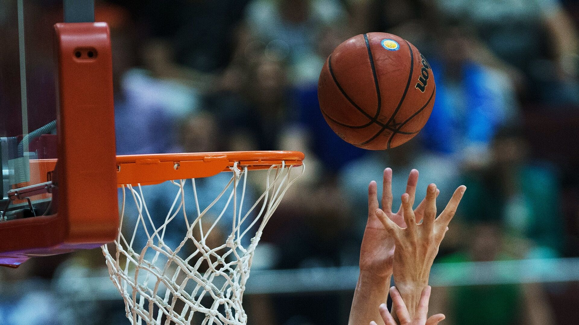 ��������� ��� ������ ���������� ����� ����� ������ ���� ���