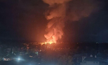Более 20 животных спасли из пожара в зоопарке Новосибирска