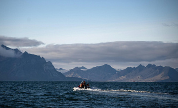 В России разрабатывают проект арктического рефрижератора "80 лет Победы"