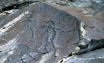 В Индонезии нашли древнейшее в мире наскальное искусство