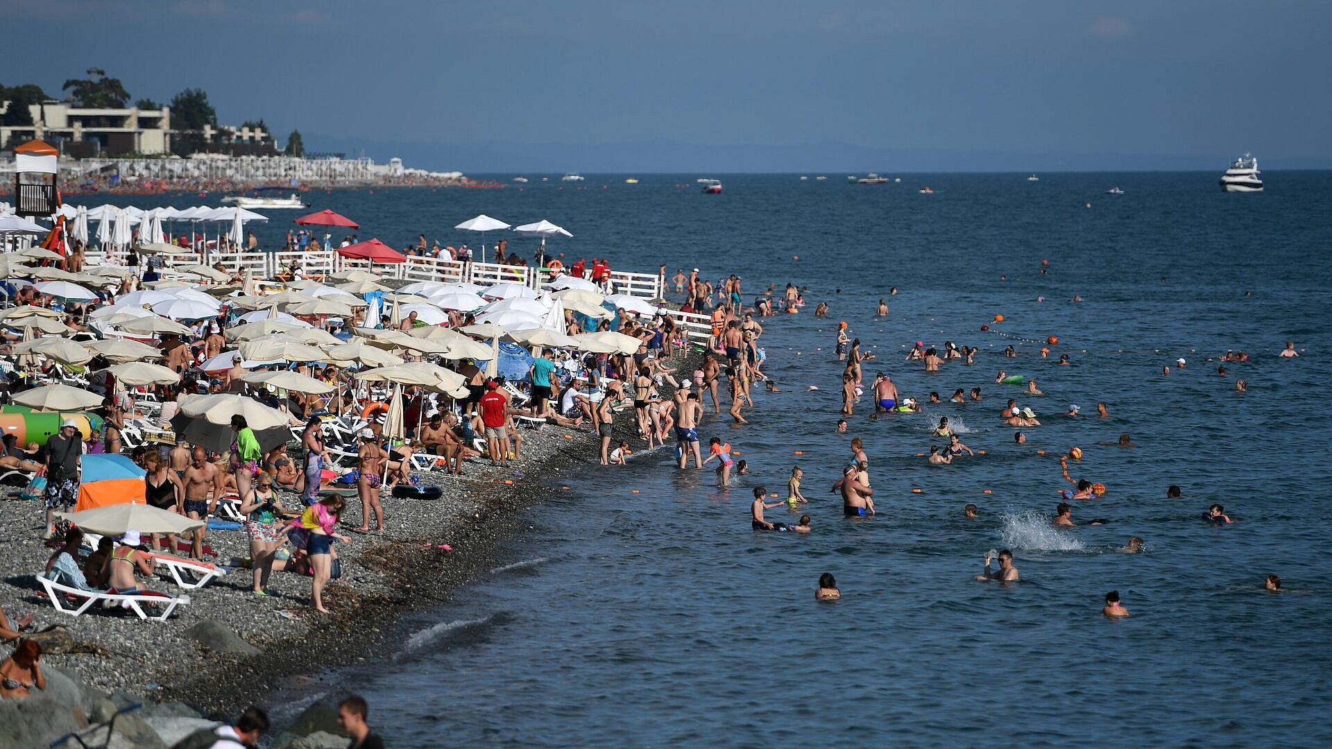 Путину рассказали, как "подогревают" Черное море для отдыха детей