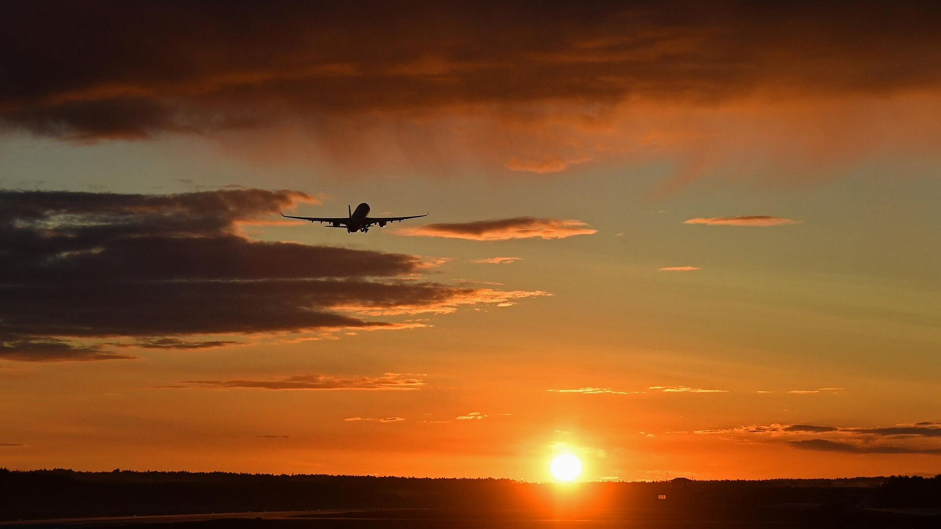 Пассажиров рейса Дубай — Москва разместили в аэровокзальном комплексе