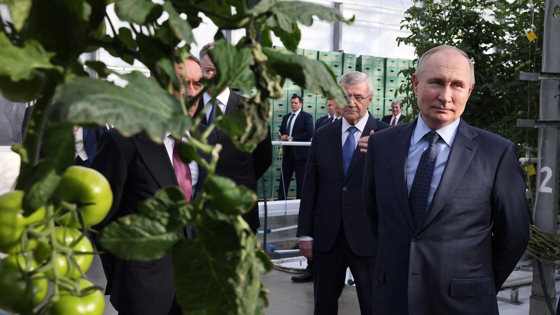 Путин из Ставрополя участвует в открытии новых производственных объектов