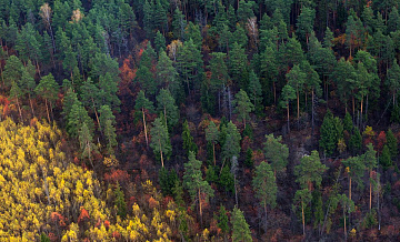 В РФ редкоземельных металлов хватит более чем на 100 лет мирового потребления