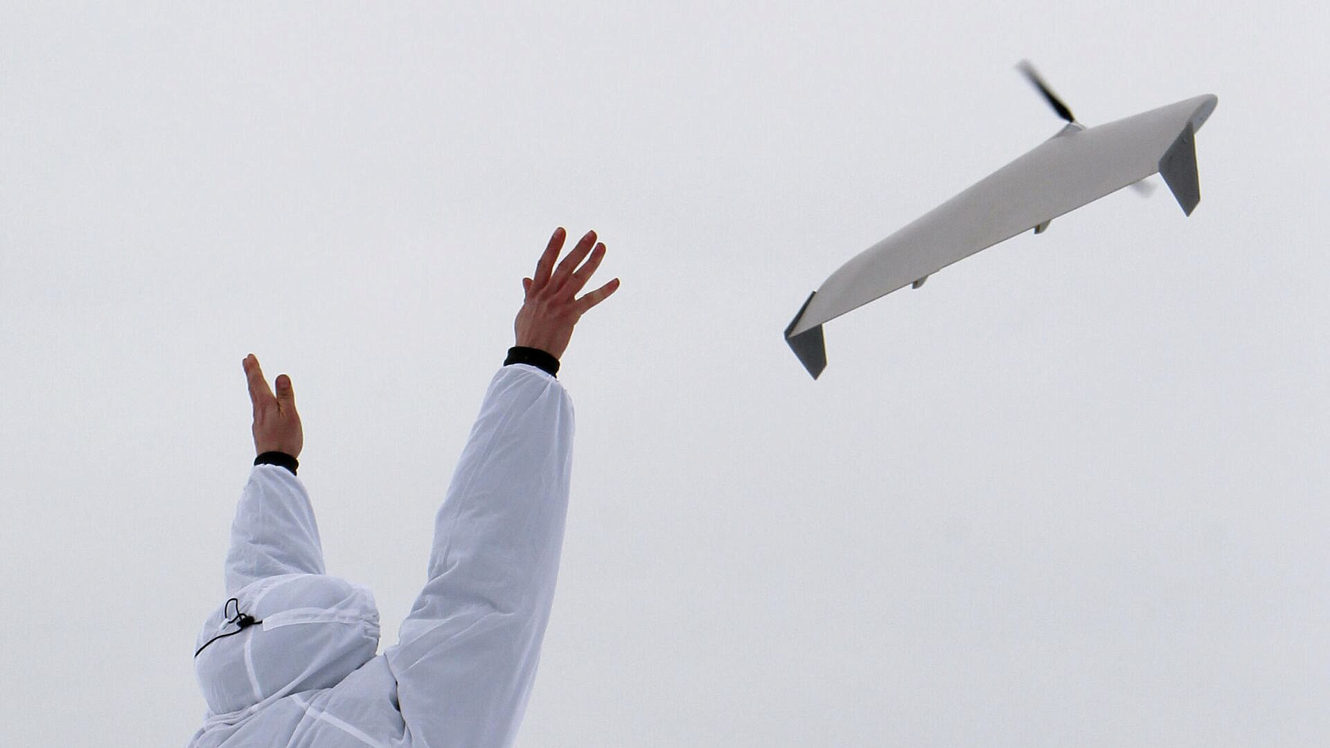 ������ ���� ����� ���������� �������� ��� Krab