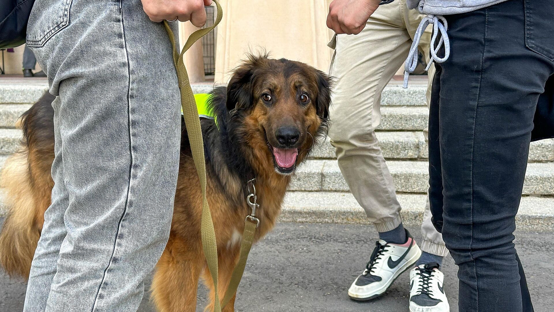 � ������ ���������� ����������������� ����� "����� �������"